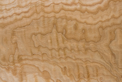 olive rippled/quilted ash